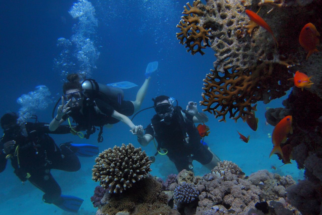 Services Group of scuba divers swimming near colorful coral reef with fish, showcasing underwater marine life.