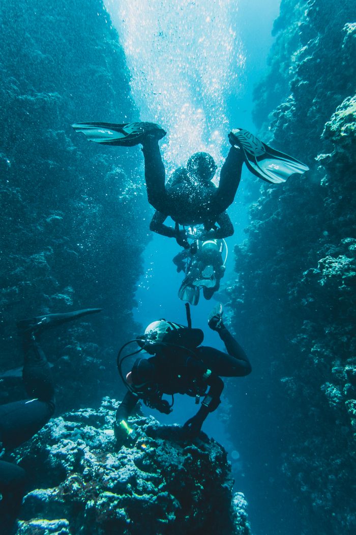 The Art of Drawing Readers In: Your attractive post title goes here Scuba divers exploring a vibrant coral reef canyon, filled with marine life and bubbles.