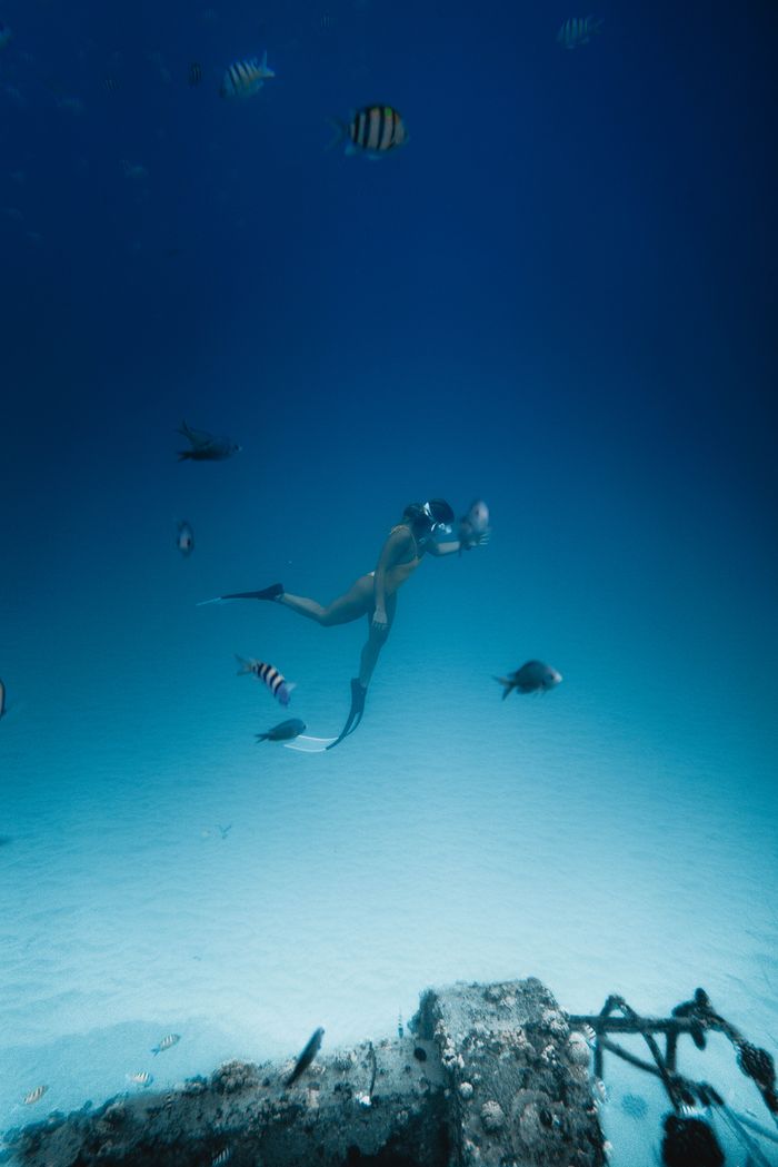 Mastering the First Impression: Your intriguing post title goes here A female diver gracefully swims among vibrant marine life, exploring underwater beauty.