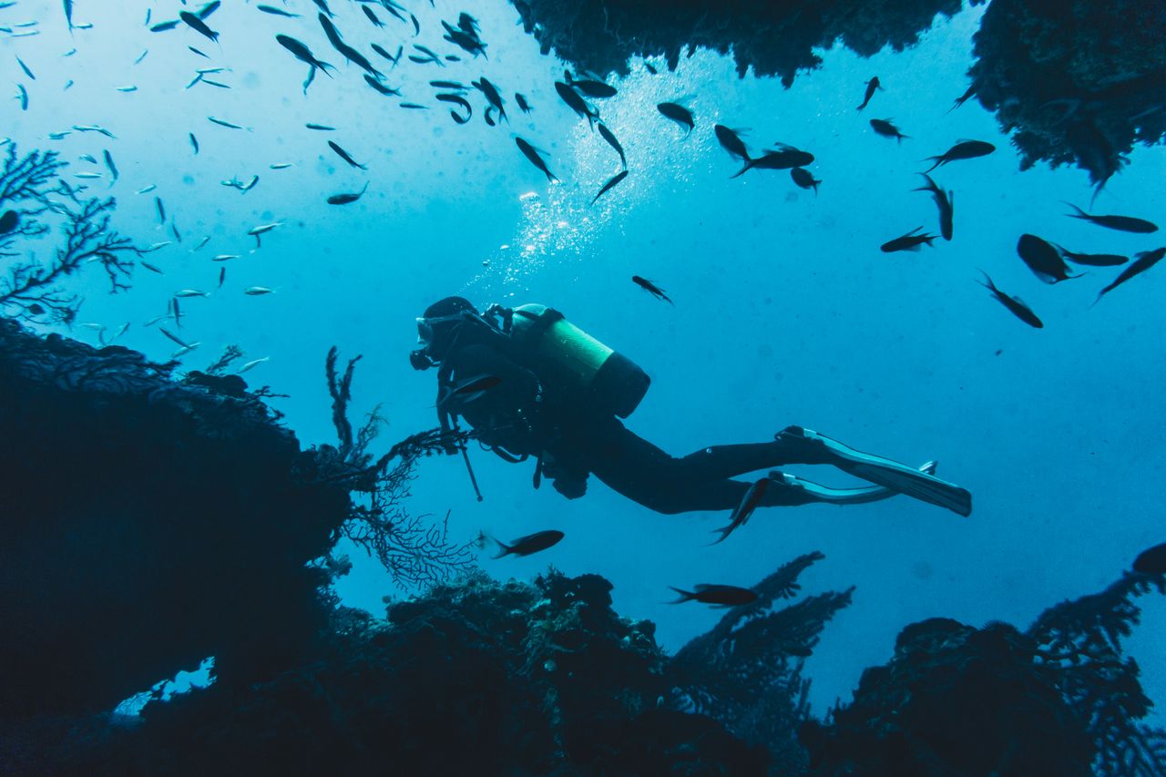 A diver swimming through a vibrant school of fish in a lively underwater ecosystem.